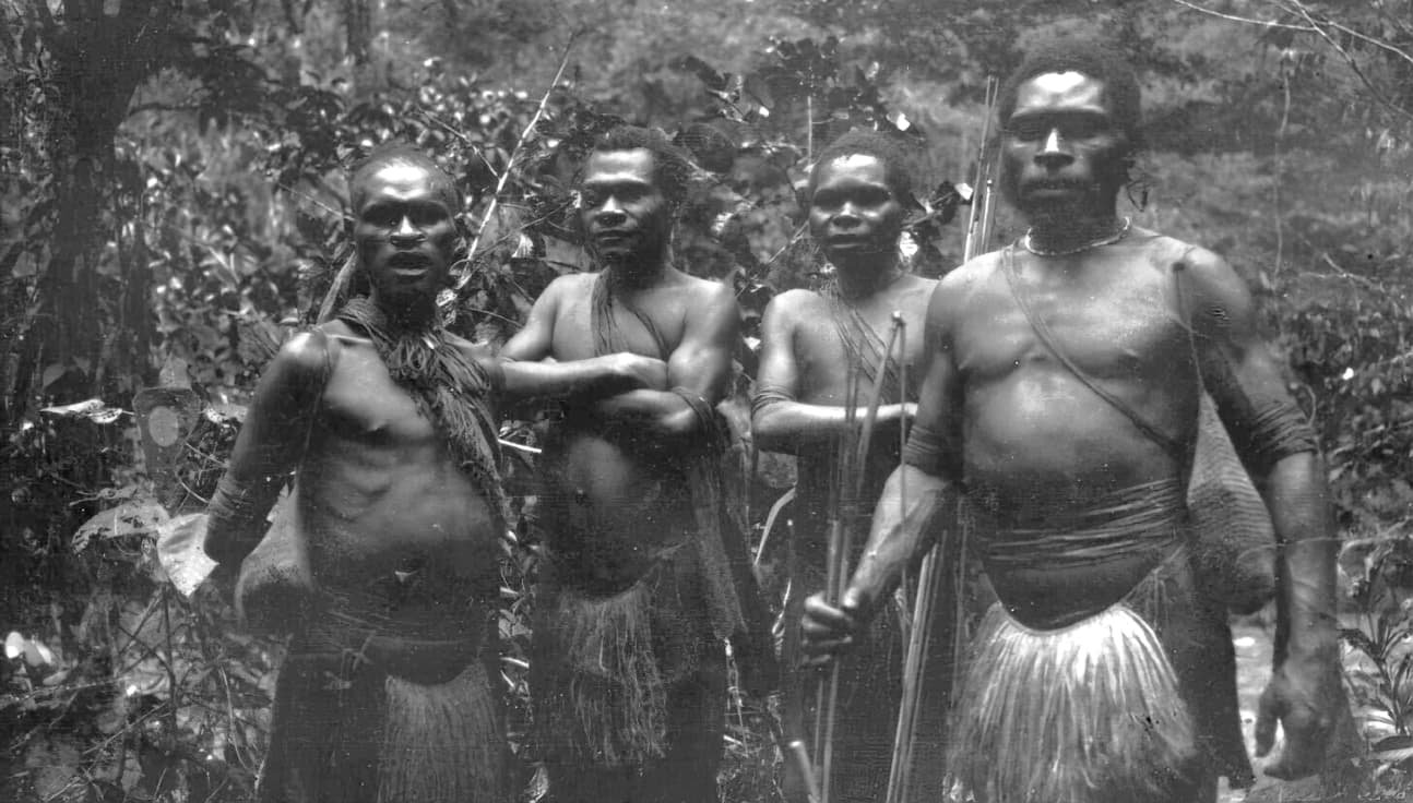 Kukukuku [Angu] natives with weapons, head of Tauri River, March–April 1931. Shows Anga grass sporrans, orchid cane belts and chest bands, stone clubs and bows.