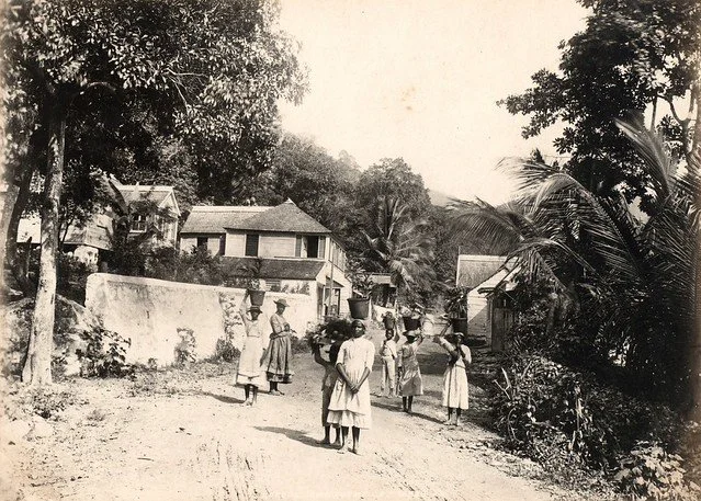 Valentine and Sons. (1891). Gordon Town, Jamaica. [Photograph]. The Caribbean Photo Archive. https://www.caribbeanphotoarchive.com