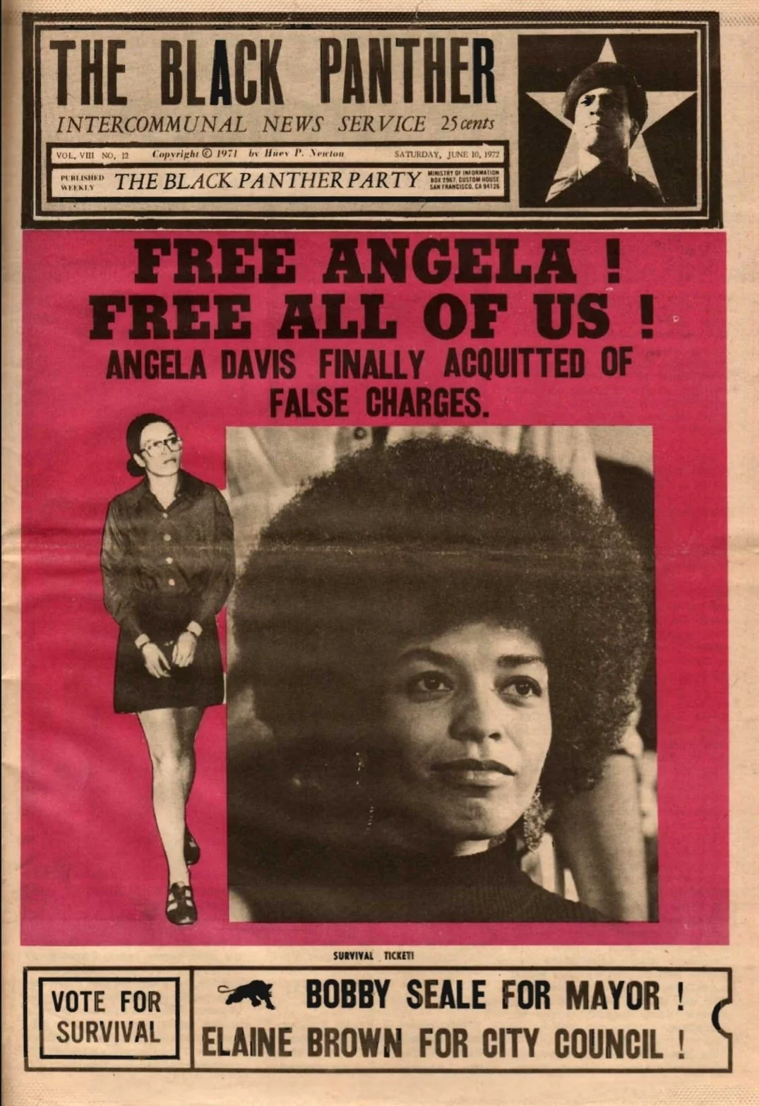 The Black Panther Black Community News Service 1972 Vol 8