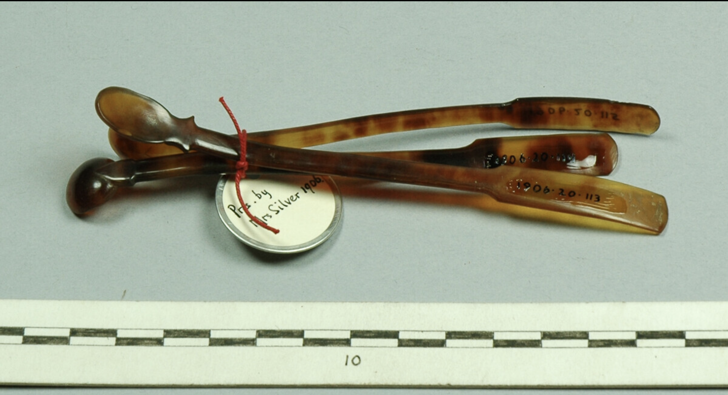 Turtleshell Spoon with Spatula-Shaped Handle. Before 1906. Unknown field collector; Caribbean. Material: turtleshell (reptile), carved. Length: 127 mm (maximum).
This carved turtleshell spoon features a small bowl transitioning into a spatula-shaped 
