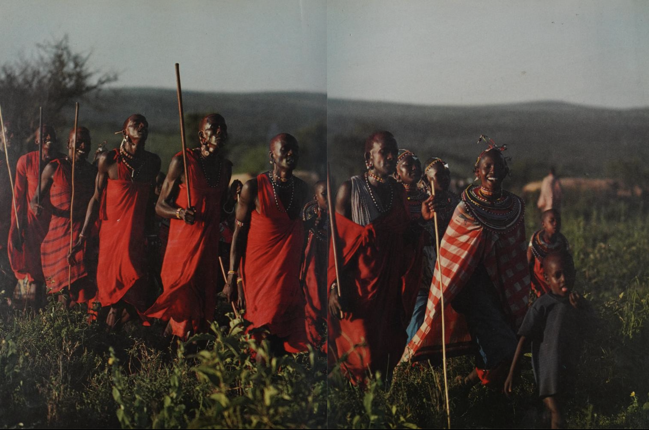 Saitoti, Tepilit Ole. Maasai. Photographs by Carol Beckwith. New York: Harry N. Abrams, Inc., 1980. (Page 230)