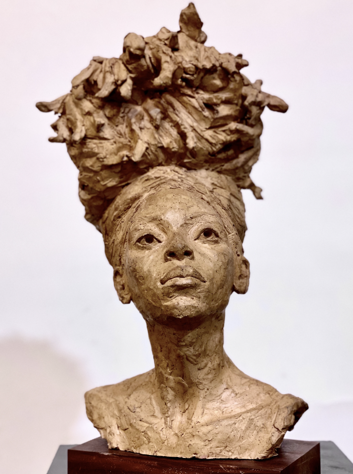 GYPZY EYES by Basil Watson, Terra-cotta, 2020