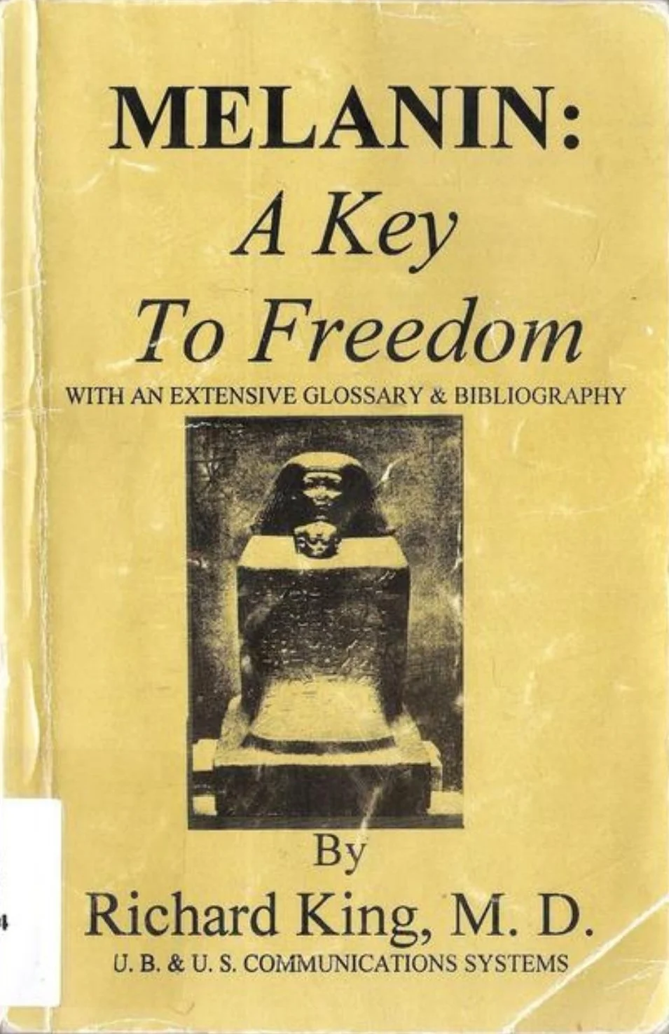 Melanin: A Key to Freedom by Richard King