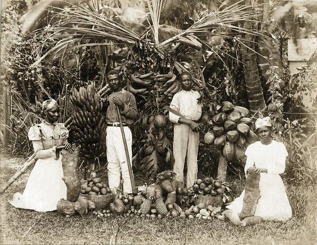 Johnston, J. (1890). Nature's Bounty. [Photograph]. The Caribbean Photo Archive. https://www.caribbeanphotoarchive.com