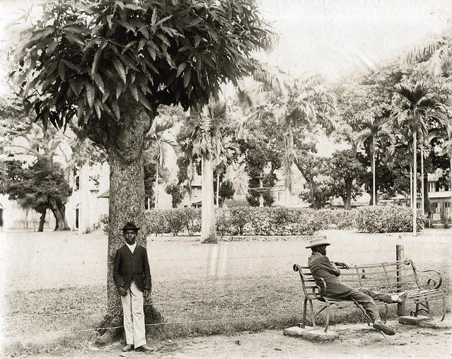 (1990). Public Garden in St. Lucia. [Photograph]. The Caribbean Photo Archive. https://www.caribbeanphotoarchive.com