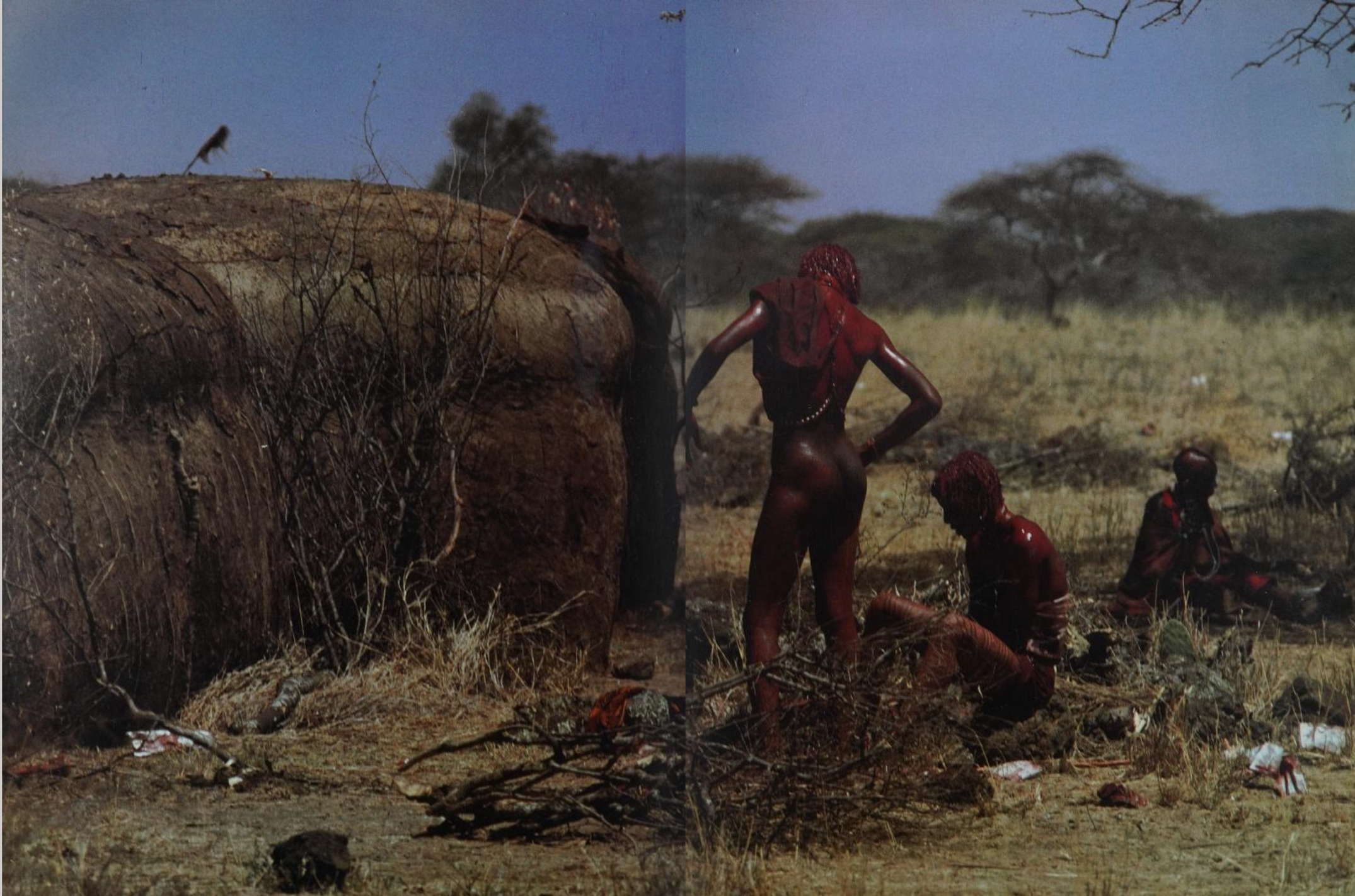 Saitoti, Tepilit Ole. Maasai. Photographs by Carol Beckwith. New York: Harry N. Abrams, Inc., 1980. (Page 168)