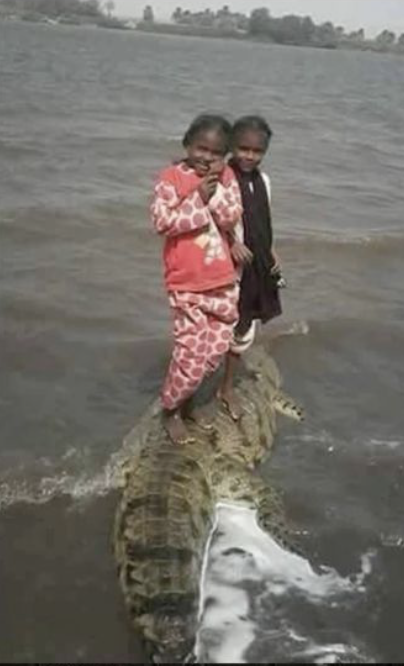 Screenshot 2025-11-20 at 17.33.31.png