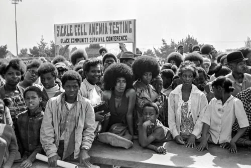 the Women of the Black Panther Movement