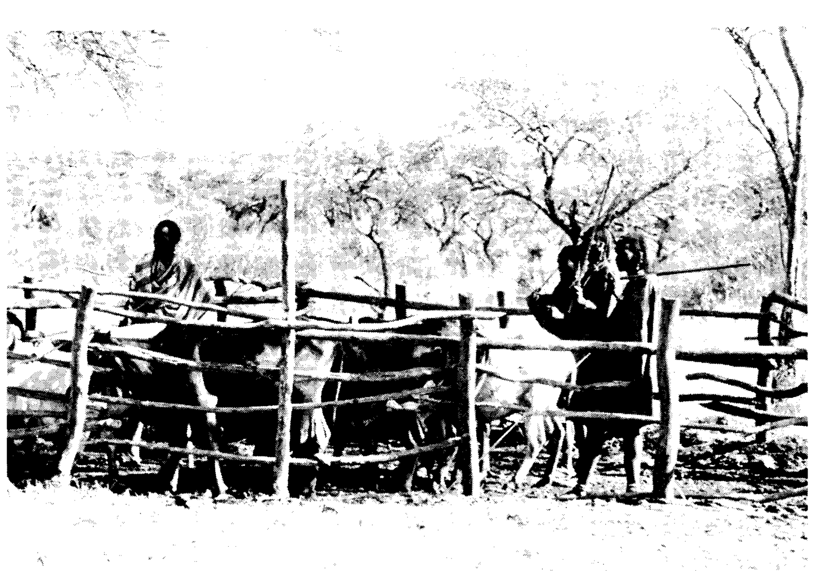 Arhem, Kaj. 1985. The Maasai and the State: The Impact of Rural Development Policies on a Pastoral People in Tanzania. IWGIA Document 52. Copenhagen: International Work Group for Indigenous Affairs. (Page 60, "Warriors with cattle waiting for their t