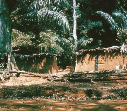 Alụsị (divinity) compound, unknown Igbo community, probably in today’s Anambra State. The walls are painted with ùlì motifs usually done through commissioning women. Photographed by Tom Eighmy. University of Wisconsin. 