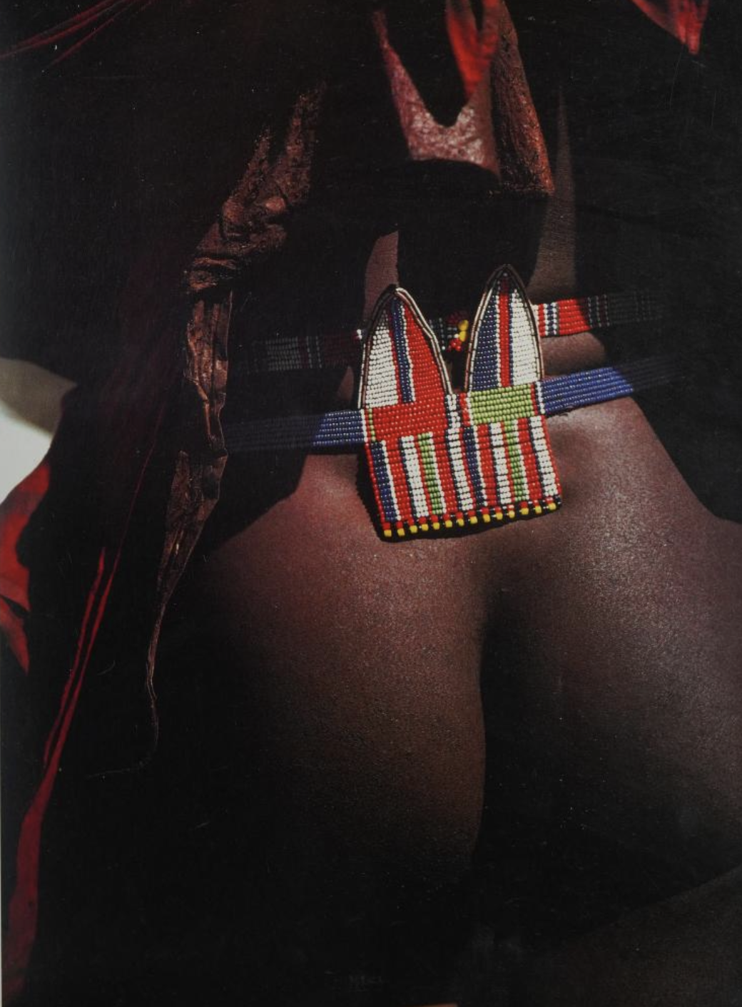 Saitoti, Tepilit Ole. Maasai. Photographs by Carol Beckwith. New York: Harry N. Abrams, Inc., 1980.