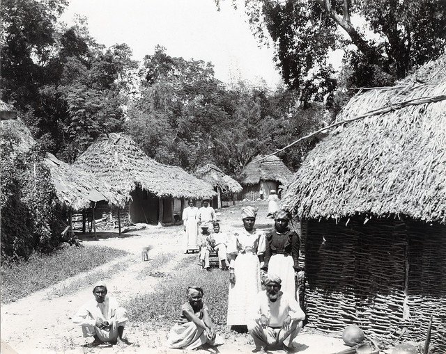 A. Duperly & Sons. (n.d.). A Coolie Hut in Jamaica. [Photograph]. The Caribbean Photo Archive. https://www.caribbeanphotoarchive.com