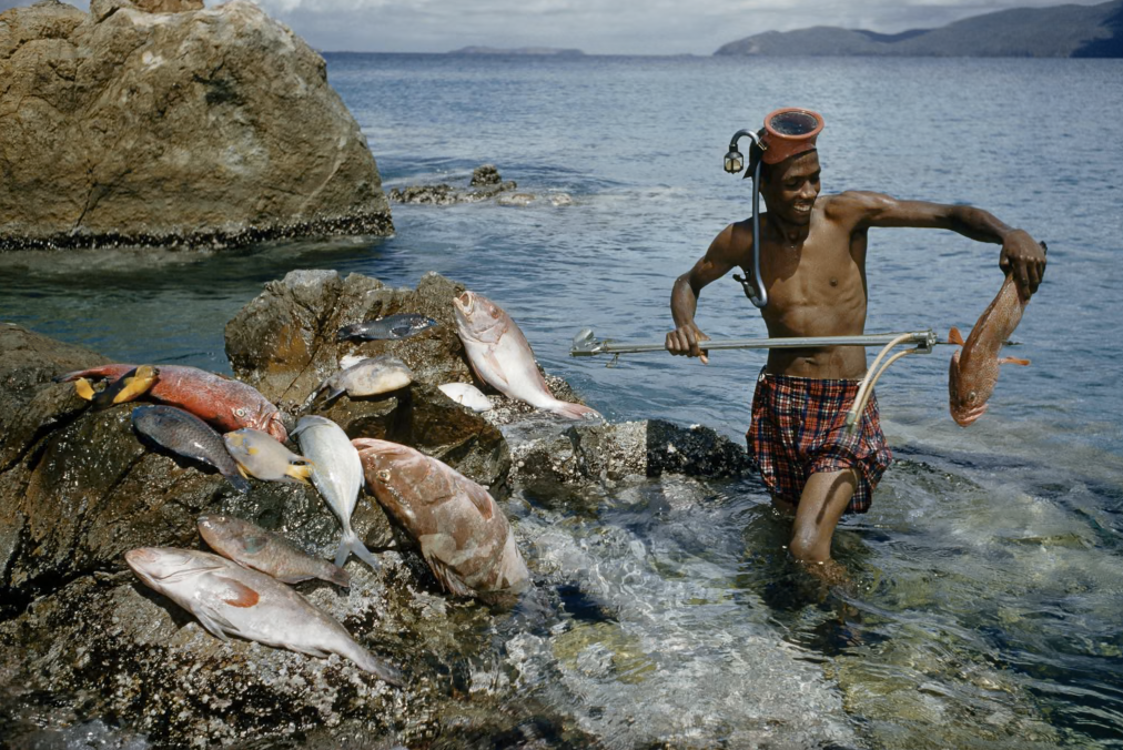A spear fisherman in the US Virgin Islands (1956) [Photograph]. In 100 years of photography in the Caribbean in pictures. The Guardian. 