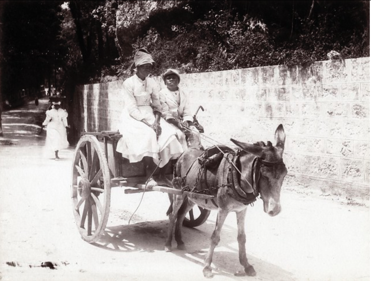 Caribbean Photo Archive. (n.d.). [Two women seated on a donkey cart along a roadside] [Photograph]. Flickr. https://www.flickr.com/photos/caribbeanphotoarchive/with/49059240108