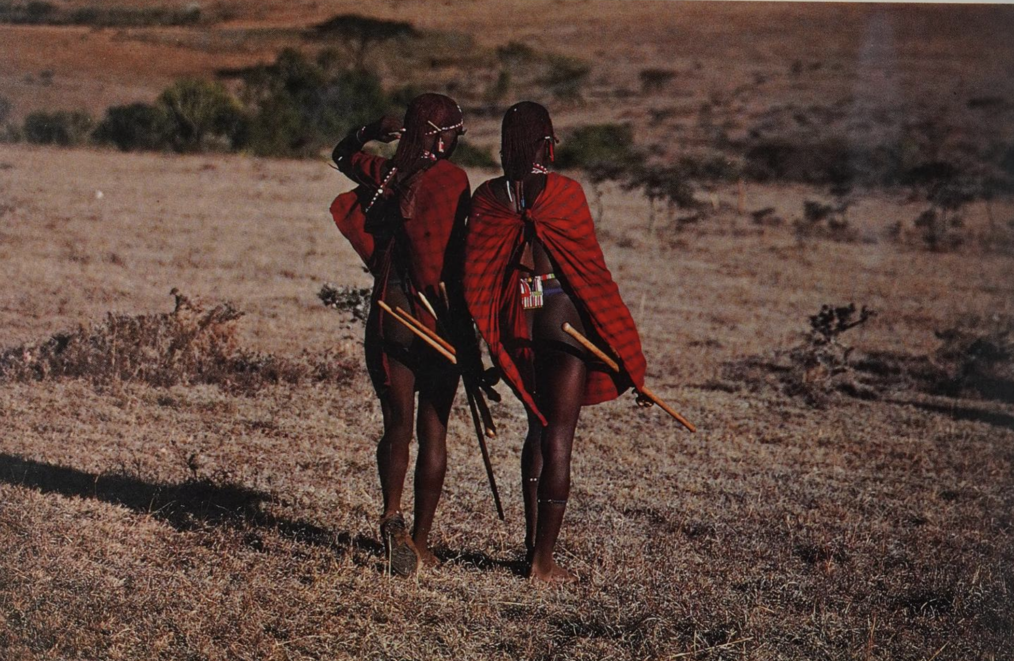 Saitoti, Tepilit Ole. Maasai. Photographs by Carol Beckwith. New York: Harry N. Abrams, Inc., 1980.