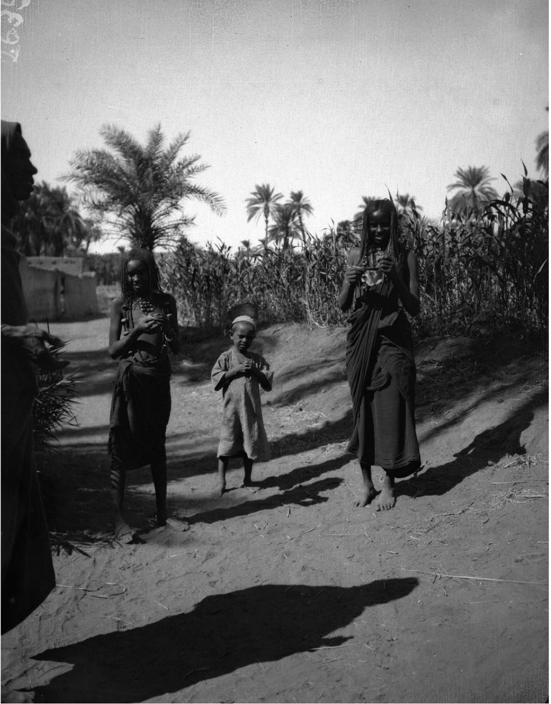 Nubian Children from Barkal Village, 1906. Oriental Institute, University of Chicago. P. B872