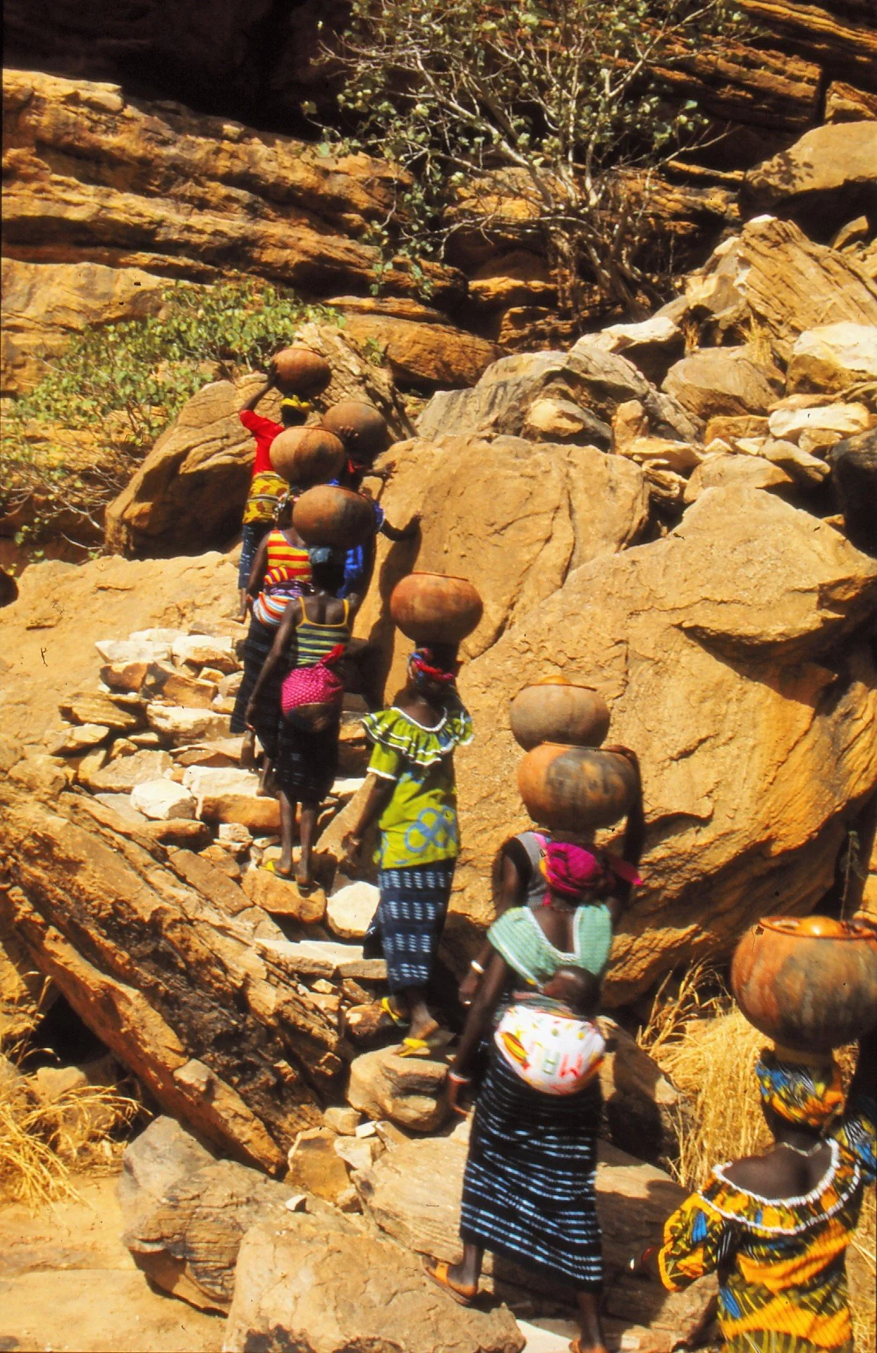 Dogon women carrying pots of beer to the market in Sangha, Tireli, Mali, 1990.
"Dogon Daily Life," photographed by W.E.A. van Beek.