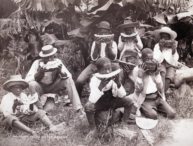 Lusher, N.E. (1890). Oh These Watermelons, Bermuda. [Photograph]. The Caribbean Photo Archive. https://www.caribbeanphotoarchive.com