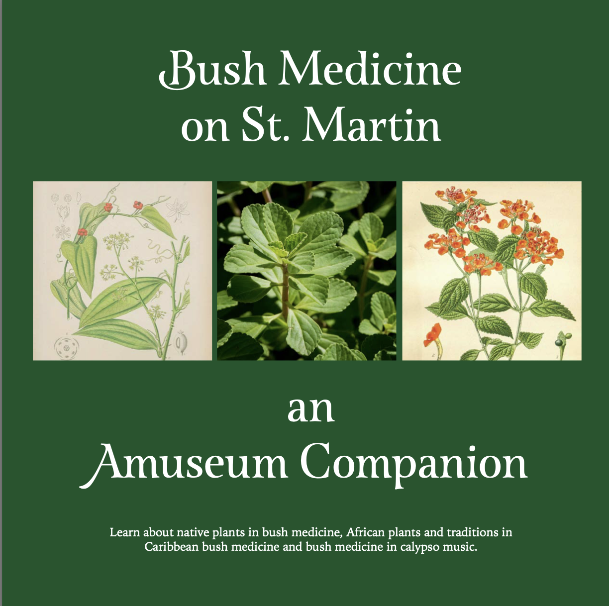 Bush Medicine on St. Martin: an Amuseum Companion 