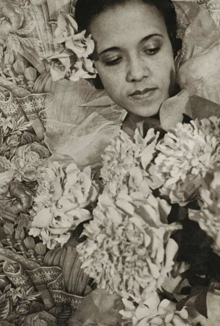 Altonell Hines photographed by Carl Van Vetchen, the Noble Black Women: The Harlem Renaissance and After, 1932.