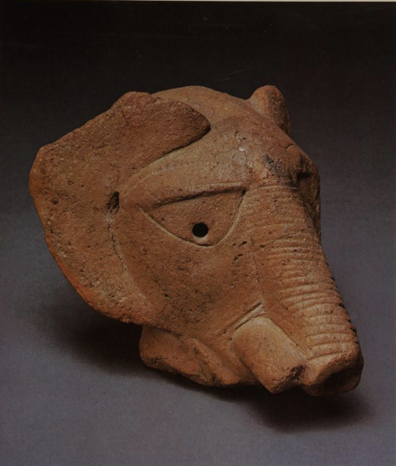 Terracotta Elephant head, from Agwzo mine, Udegi, c. 500. P.63. From Treasures of ancient Nigeria (1982)