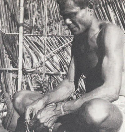 "A young Kwaio beauty in a pensive mood
(the sister of #5 on this page)." "A Kwaio feastgiver strings shell beads into valuables on the platform where he will publicly present them at the feast." "The Anthropologist’s Dilemma." Expedition Magazine 14