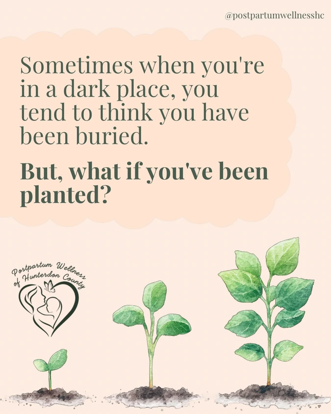 What if you&rsquo;ve been planted?

Reach out today if you&rsquo;re in need of support.