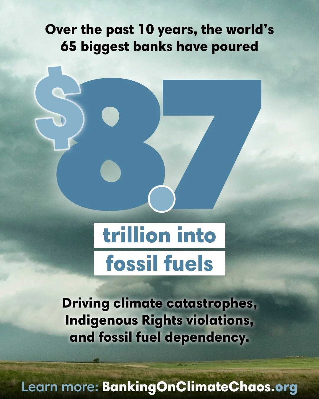 In 2025, just 12 banks provided almost 40% of all bank fossil fuel funding worldwide. That&rsquo;s right, a dirty dozen of banks are responsible for well over a third of global fossil fuel financing. 

We&rsquo;re at a critical moment for our climate