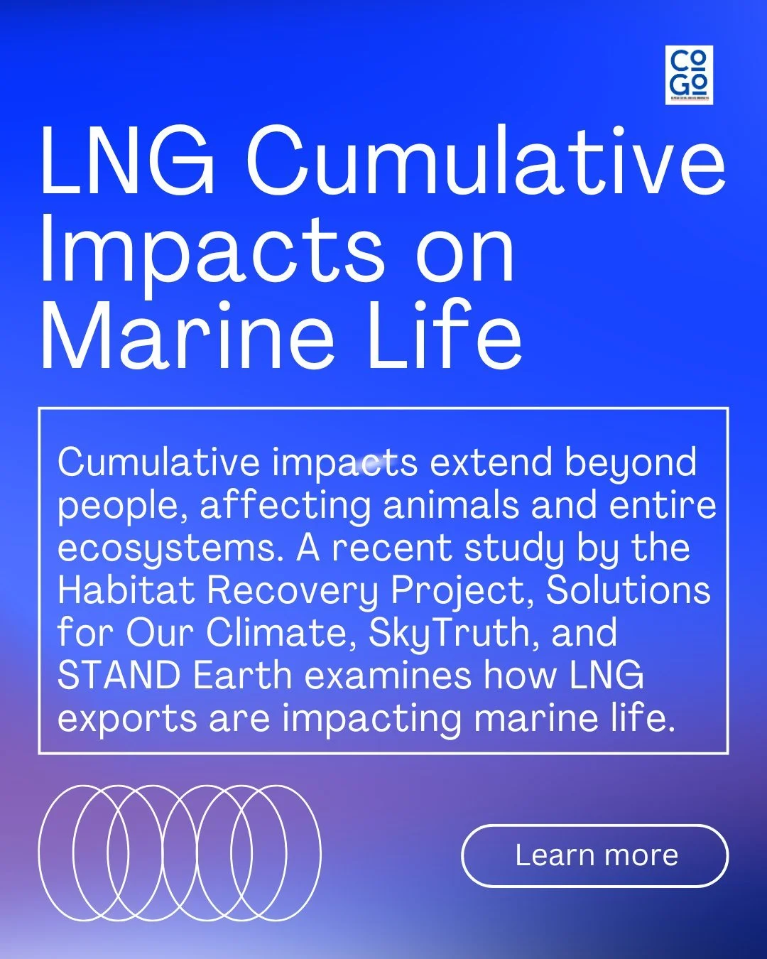 Cumulative impacts have similar effects on people as they do on animals and ecosystems. 

Habitat Recovery Project's study" An Assessment of Environmental and Social Impacts of LNG Carriers," explores the cumulative pressures on marine life