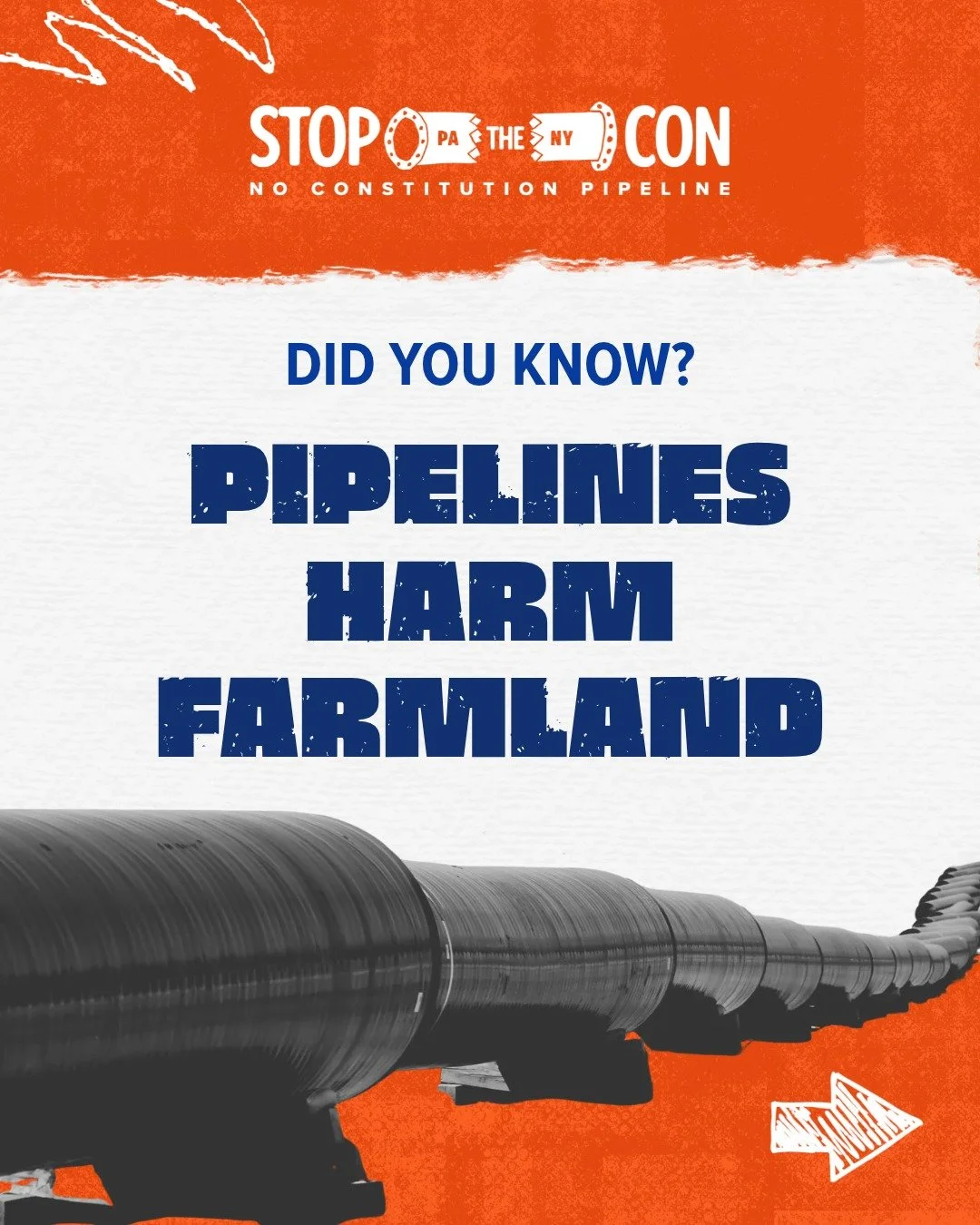 A farm isn't just land. It's a legacy.

Healthy farmland is built over generations, and so is the soil beneath it. When pipeline construction compacts soil or disrupts its natural structure, the impacts can last long after construction crews leave. F