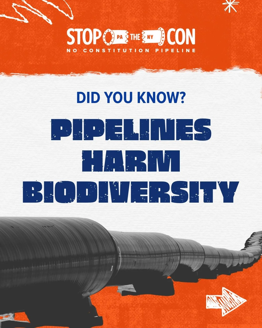 Biodiversity is more than wildlife. It's the foundation of healthy #ecosystems!

Forests, wetlands, and grasslands provide habitats for countless plants and animals while supporting clean water, healthy soil, pollination, and resilient ecosystems. Pi
