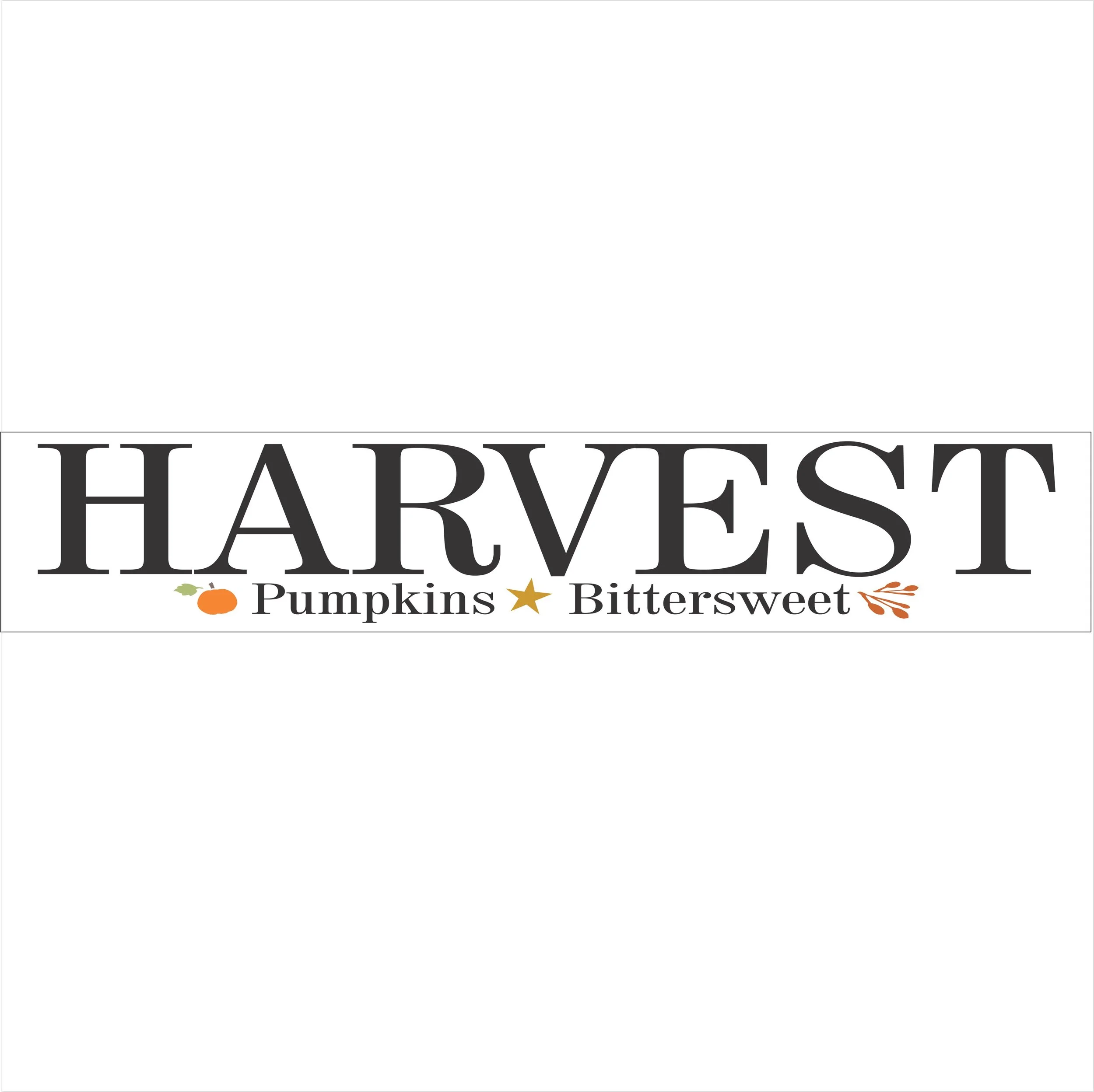 3879 HARVEST PUMPKINS BITTERSWEET.jpg