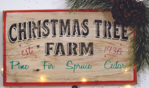 2424_tree_farm1.jpg
