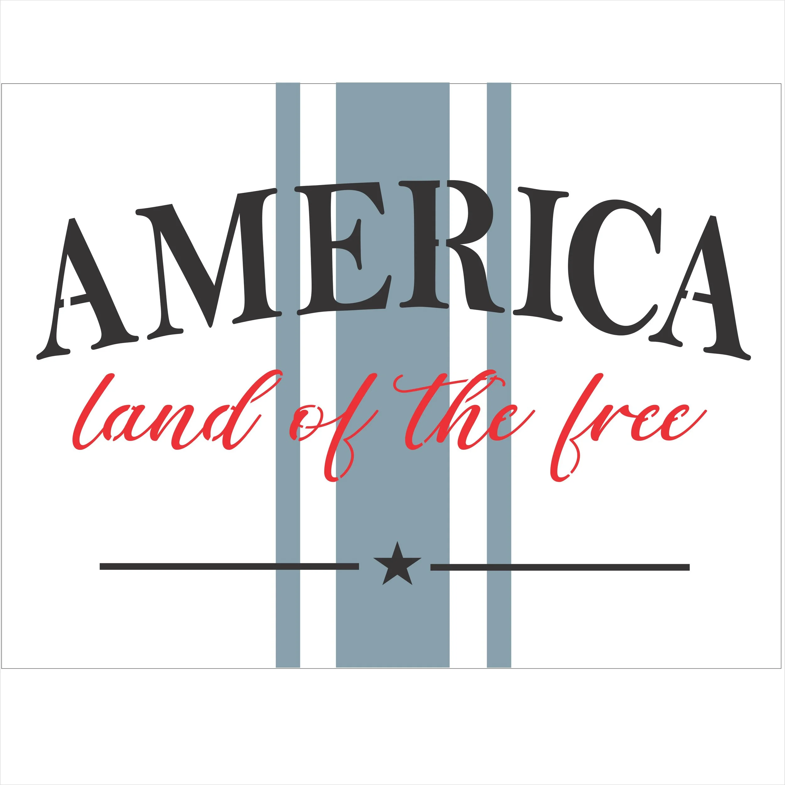 AMERICA land of the free  #3887