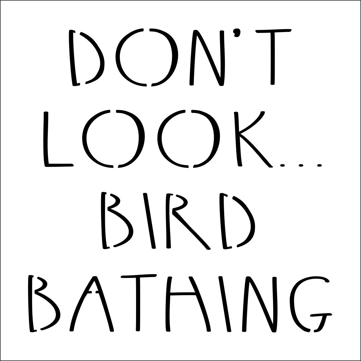 3485 BIRD BATHING.jpg