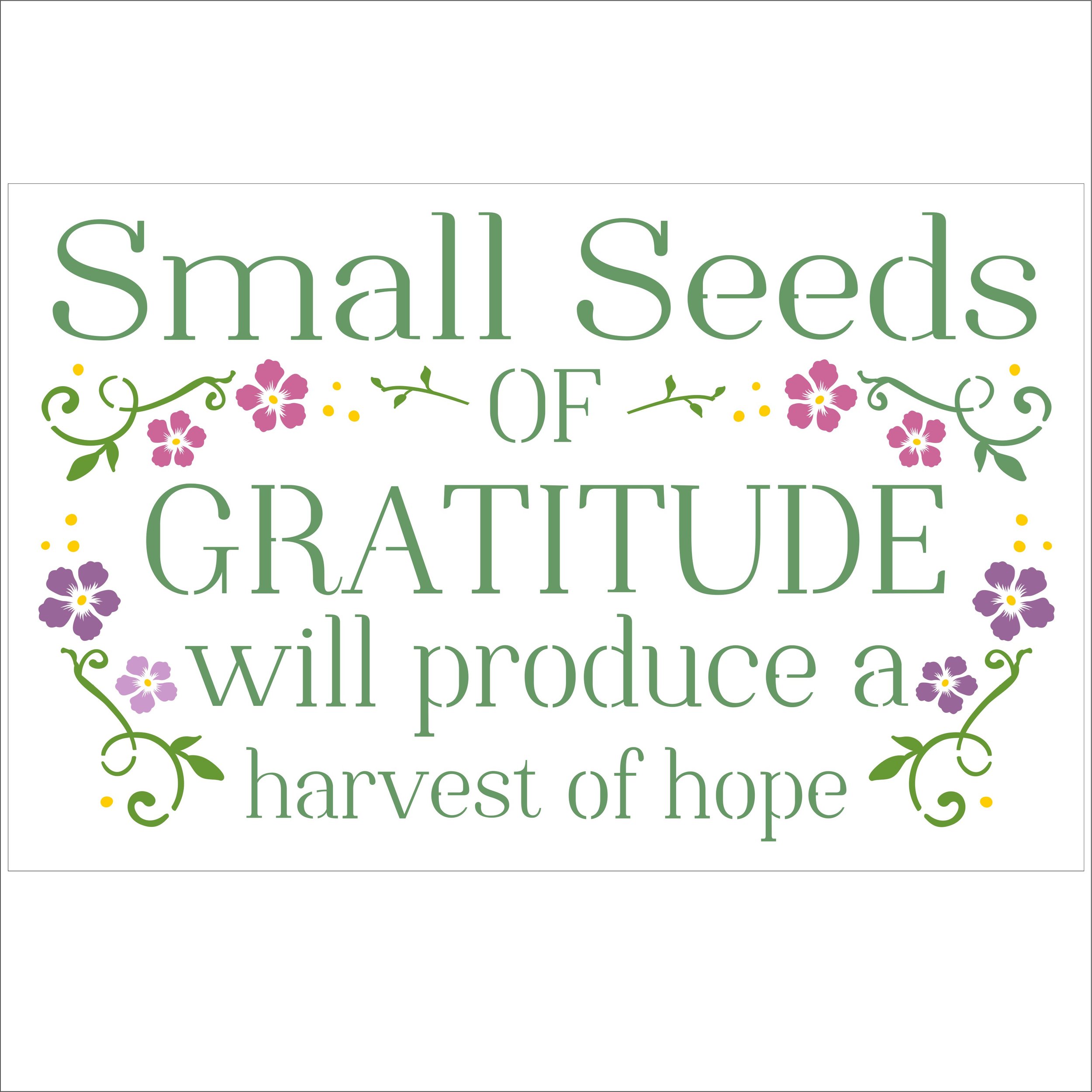 3207_small_seeds TN.jpg