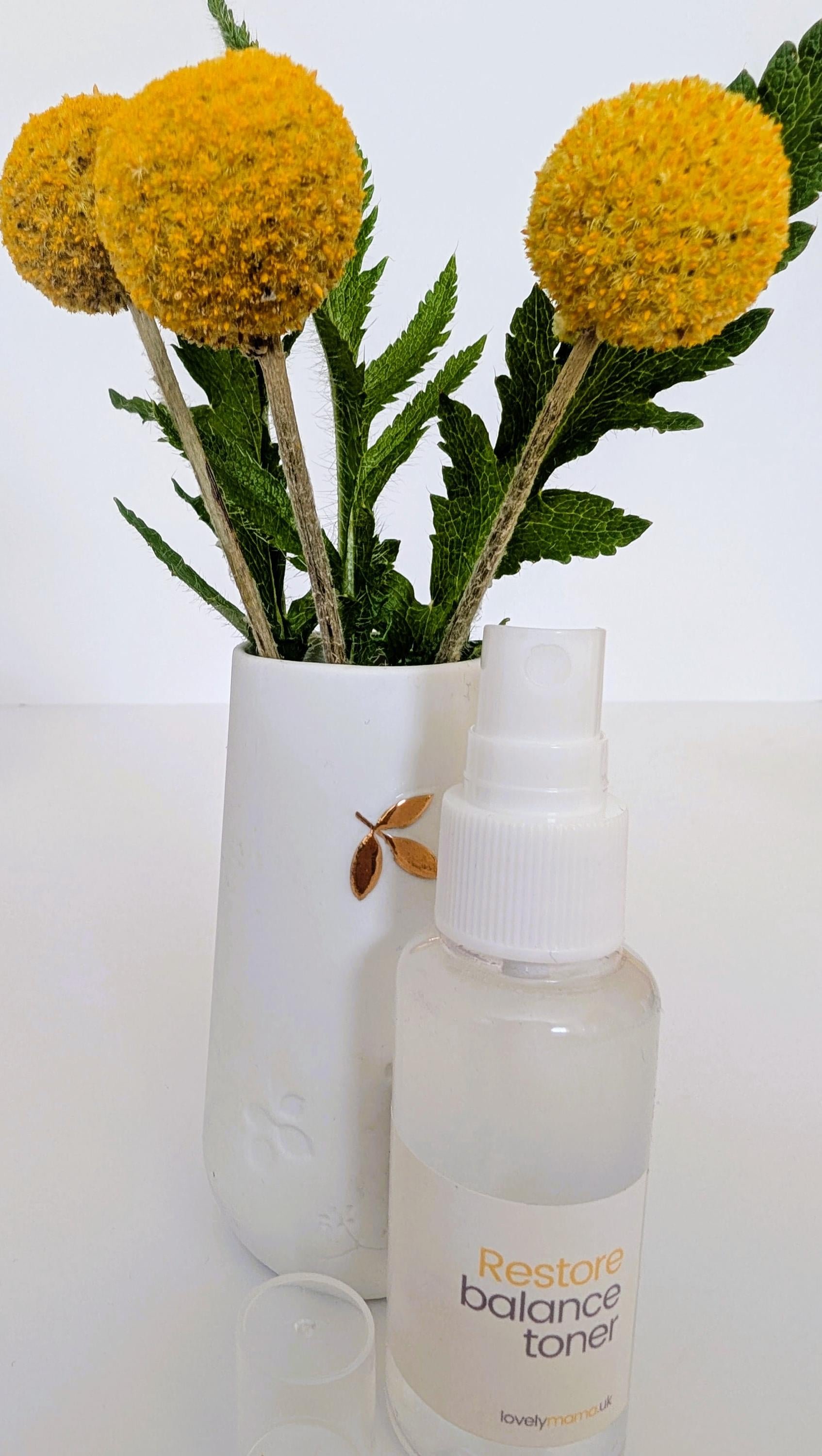 https://i.etsystatic.com/20455885/r/il/29799f/6881578219/il_fullxfull.6881578219_9gng.jpg
