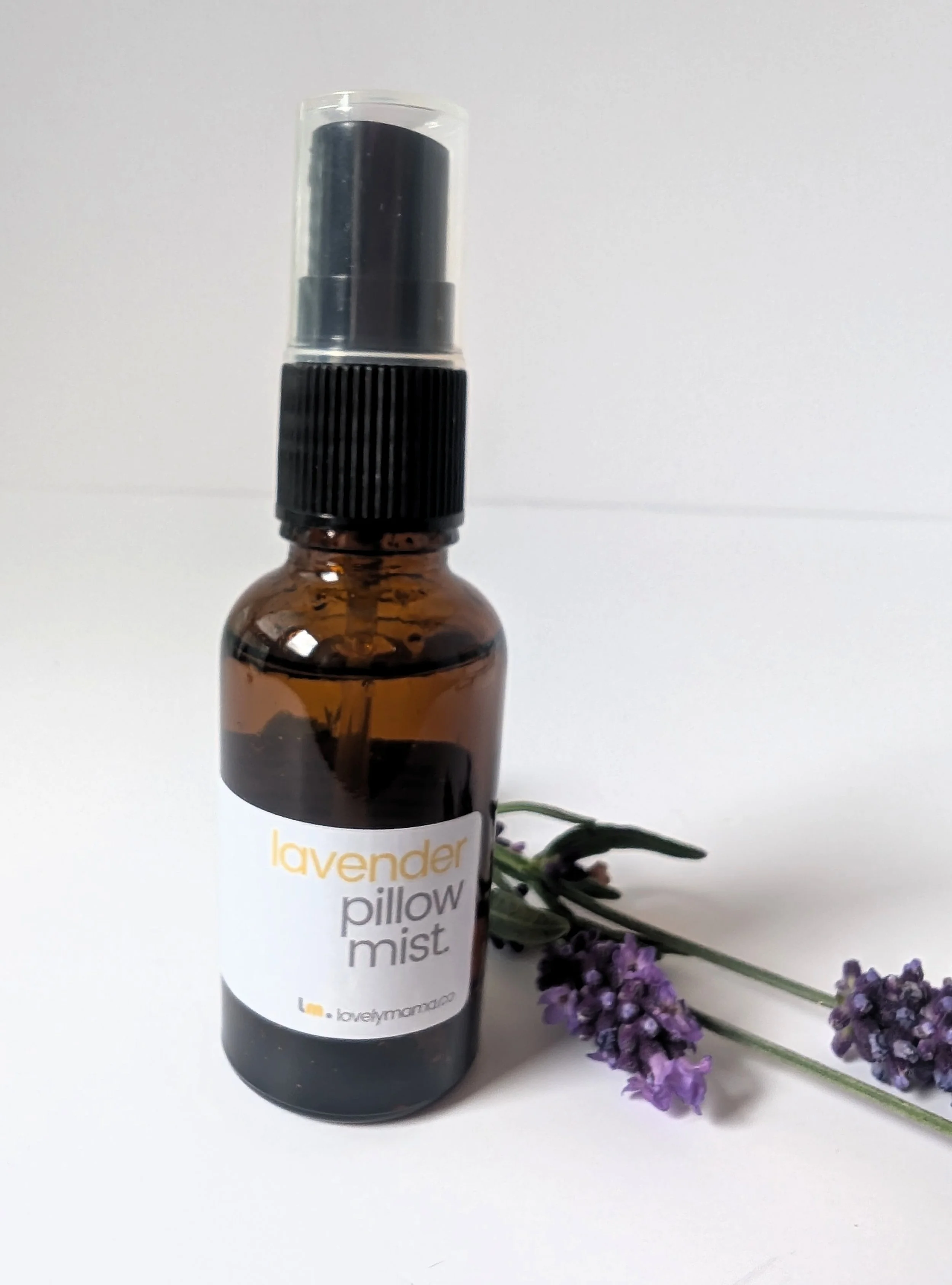 PXL_20250701_100653892.NIGHT - Copy.jpg