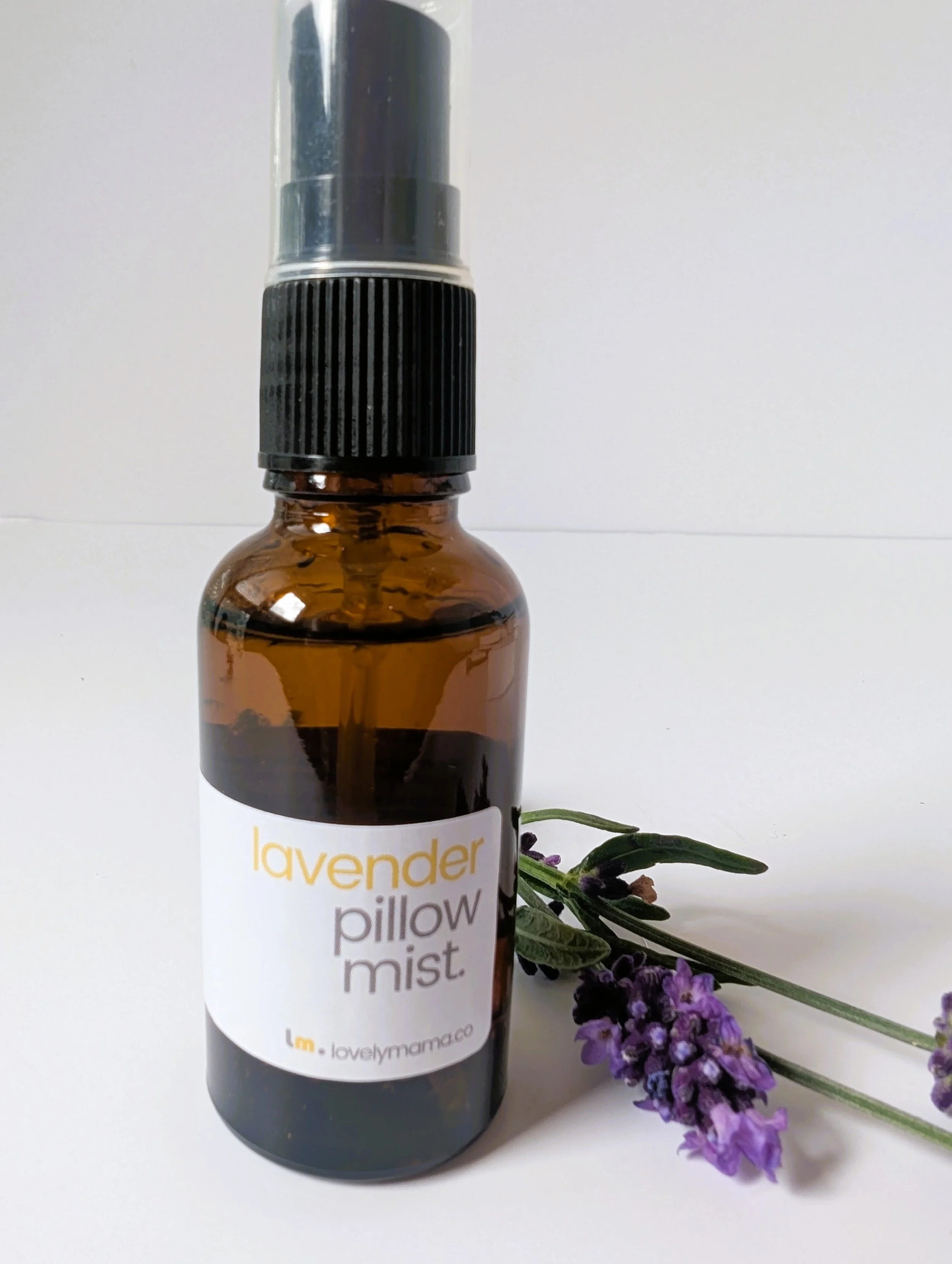 PXL_20250701_100657841.NIGHT.jpg (Copy)