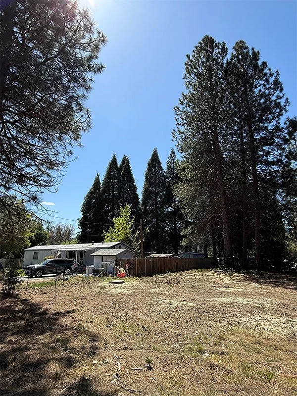Tree removal services in Tehama County