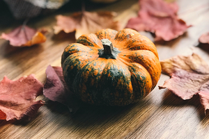 Article: Soothing Digestive Woes Naturally — Tieraona Low Dog, MD