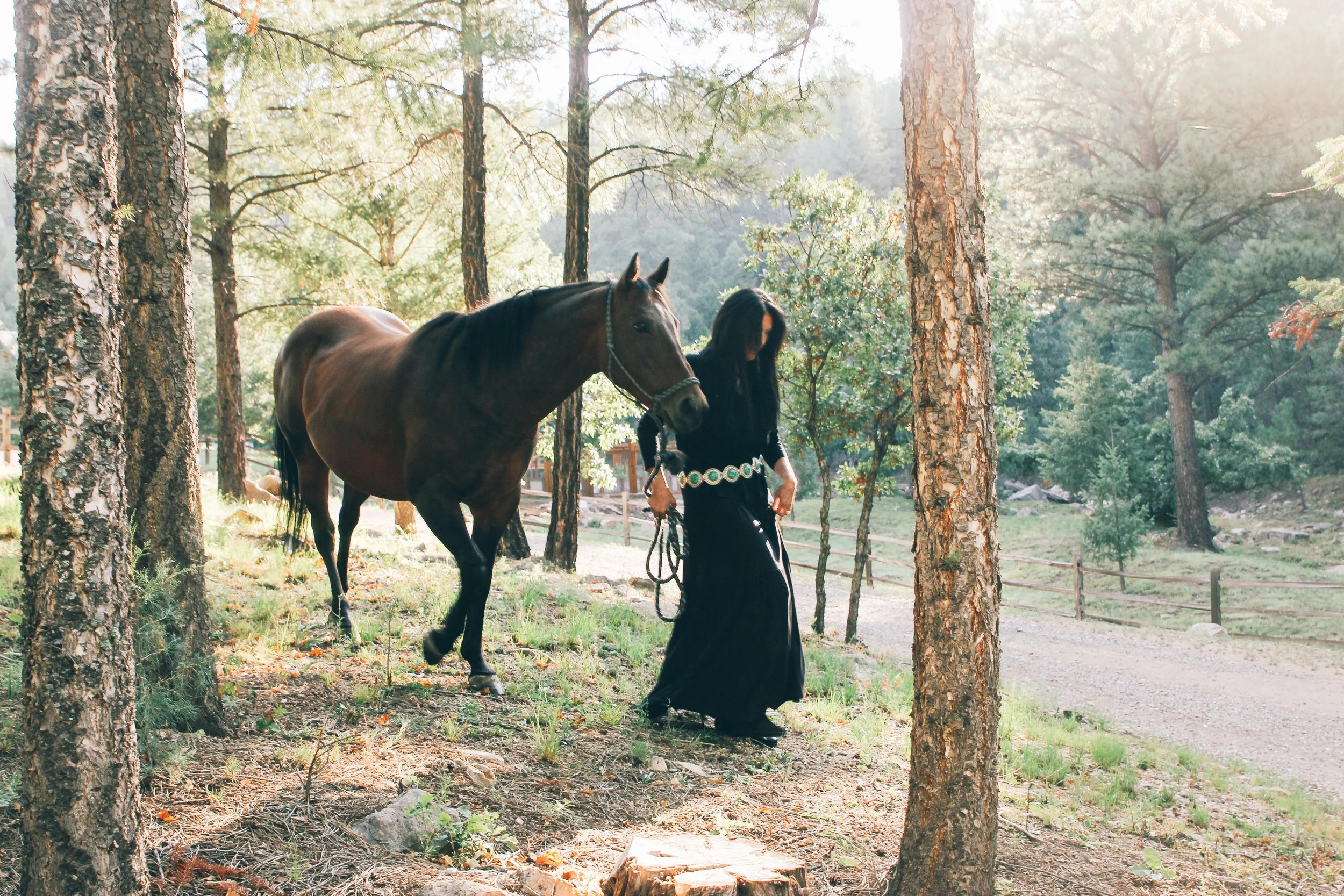 TLD walking with Kohana in the woods.jpeg