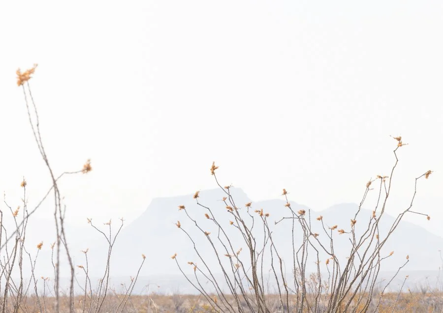 WestTexas-6.jpg