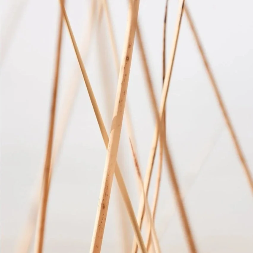 Lake Reeds