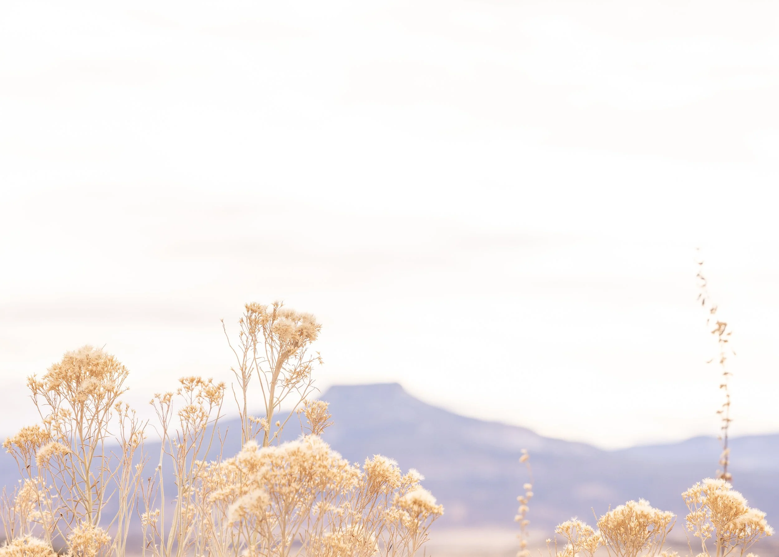 Abiquiu-04.jpg