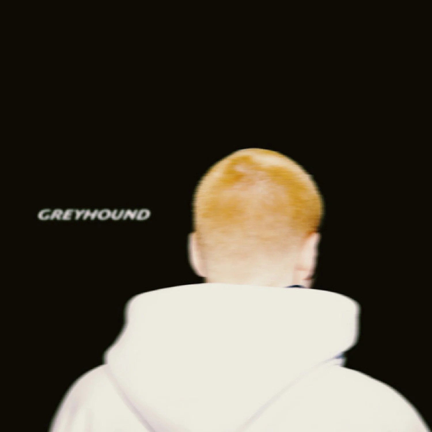 greyhoundArtboard 1-80.jpg