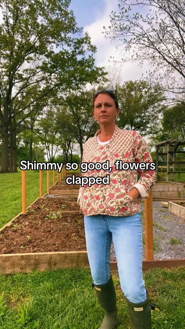 When the shimmy’s so good, even the plants can’t help but applaud. ๐ฑ๐
#MatthewsFlowerFarm #SoutheastMissouri #FlowerFarm #farmlife