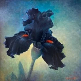 Dark purple iris flower with ruffled petals against a muted background.