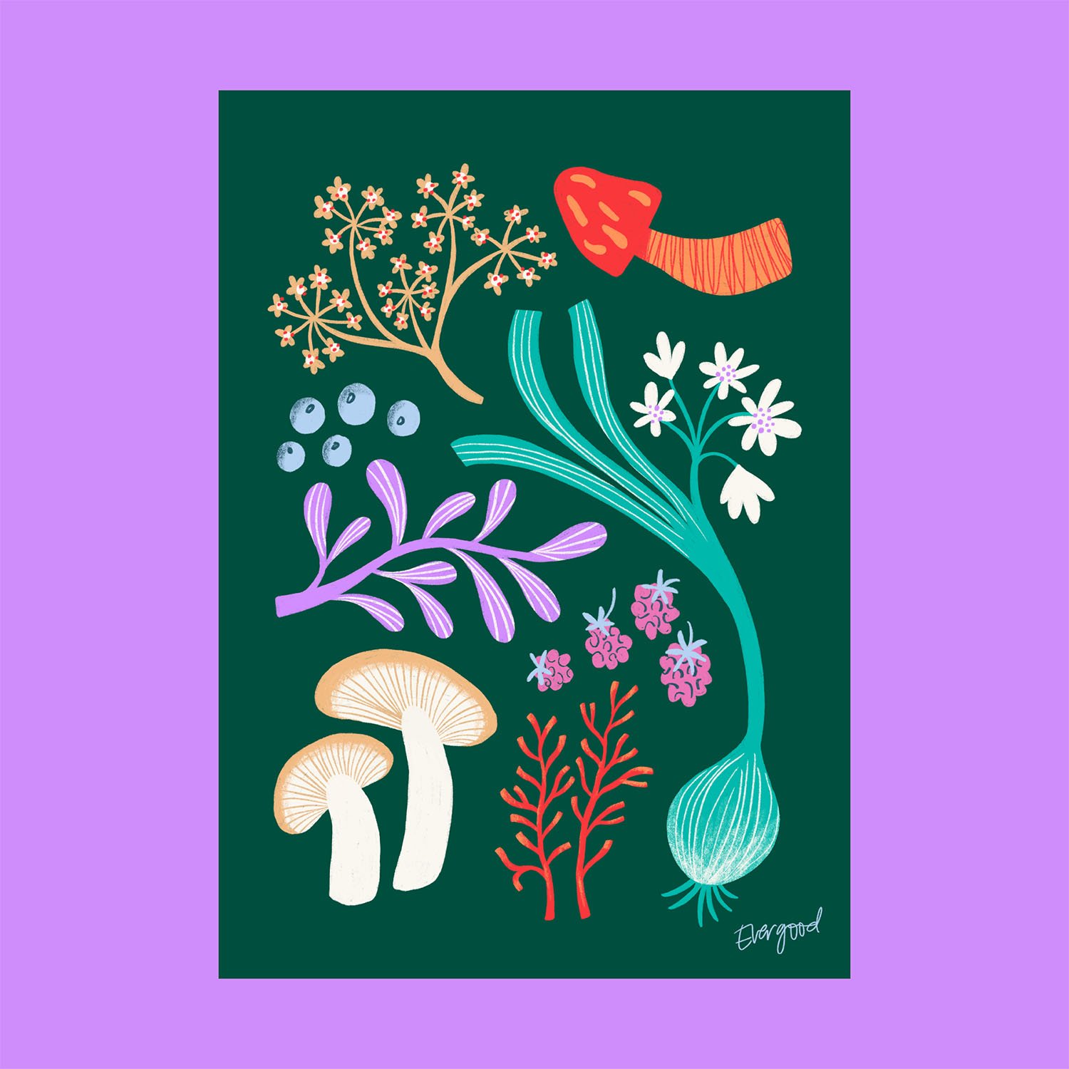 foraging.jpg