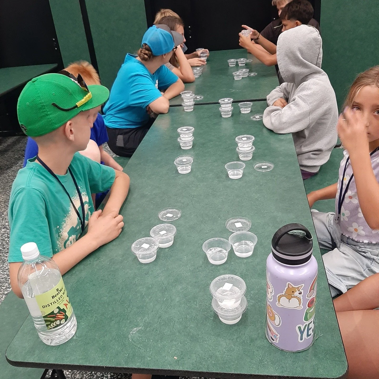 The summer camp season has drawn to a close, but we're still basking in the joy and privilege of bringing GSK's &quot;Be a Health Scientist!&quot; lessons to local youth.

Here we see Indian Valley Stewardship Camp kiddos engaging with the Epidemiolo